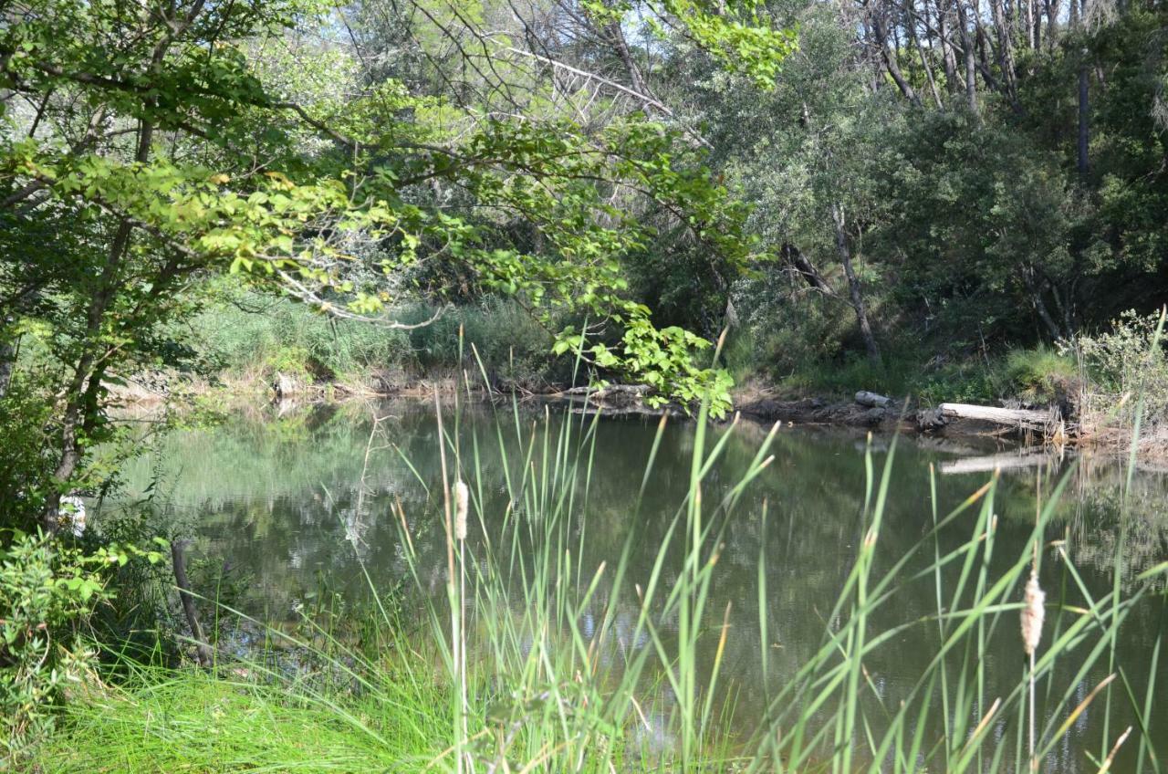 Domaine Hemmitage Apartman Salernes Kültér fotó