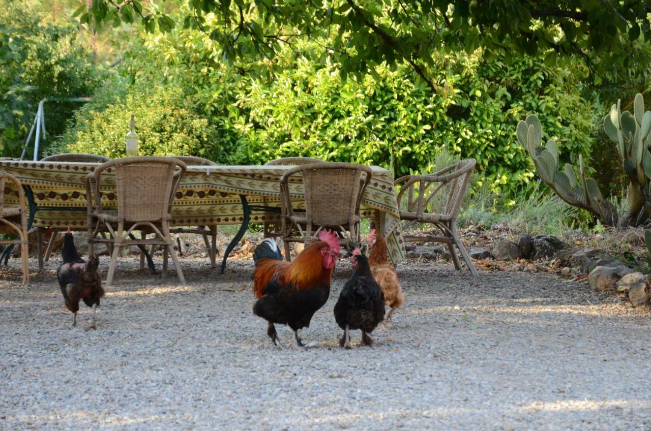Domaine Hemmitage Apartman Salernes Kültér fotó
