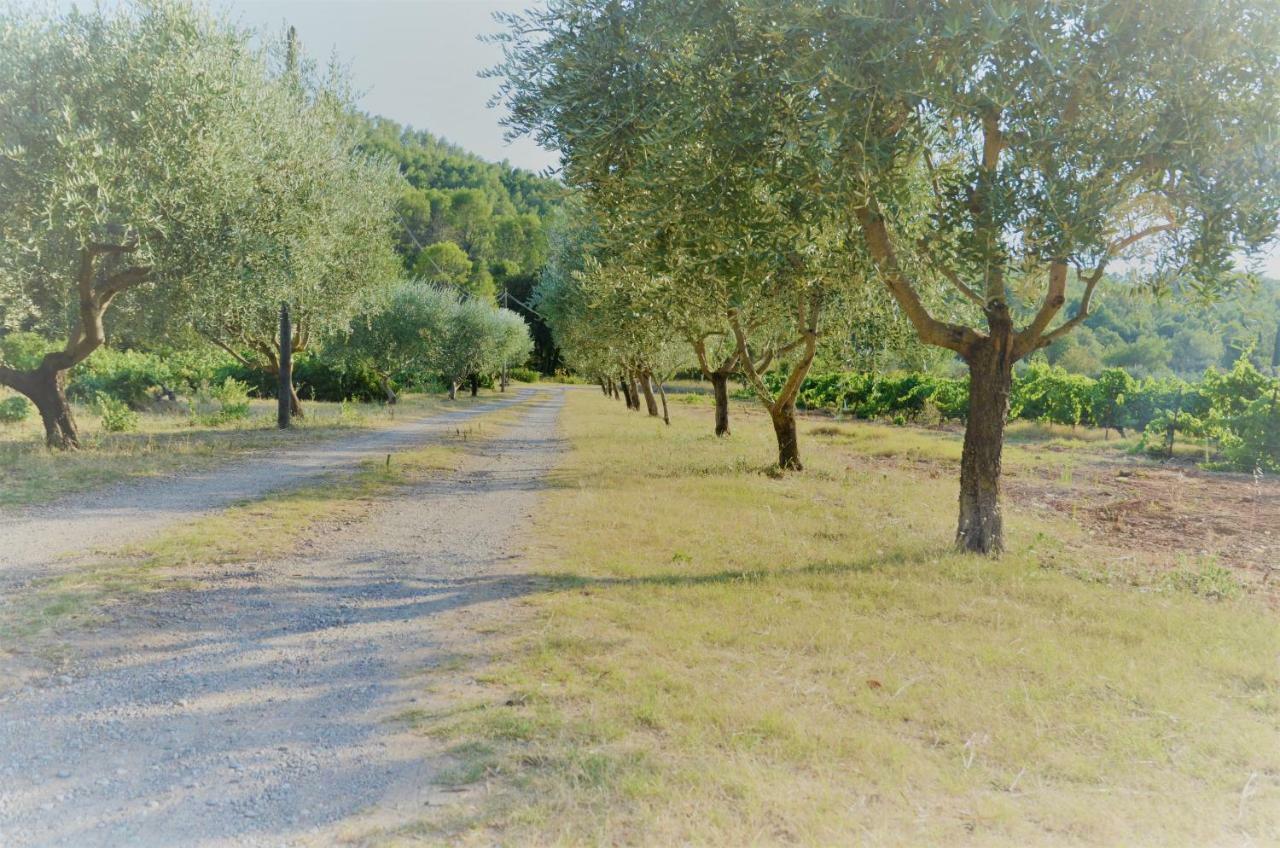 Domaine Hemmitage Apartman Salernes Kültér fotó